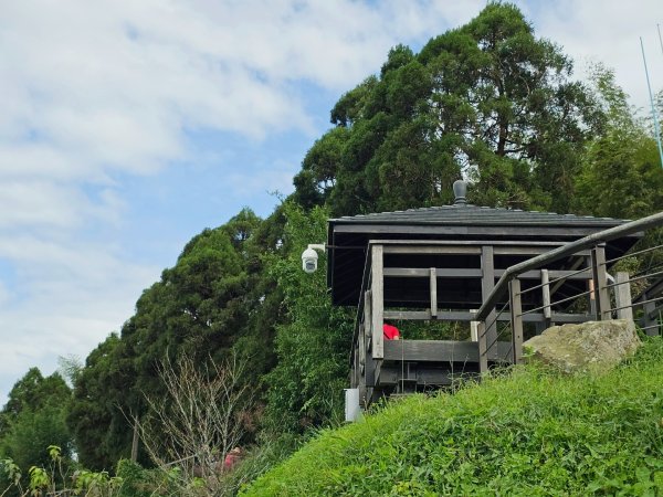 二延平步道&茶霧之道2636681