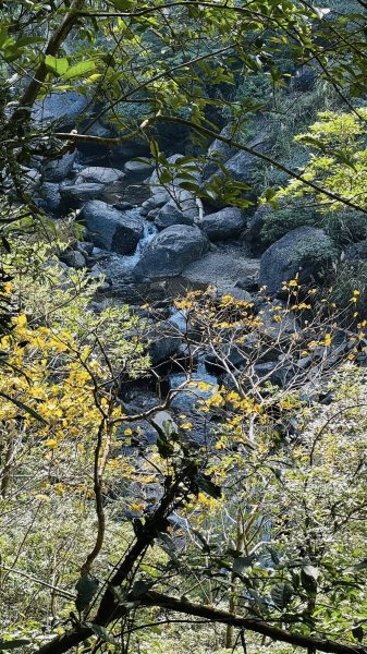 20260117三峽雲森瀑布2990324