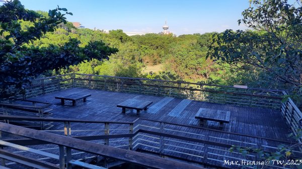 《台中》午後斜陽｜中科東大公園步道202311042336956