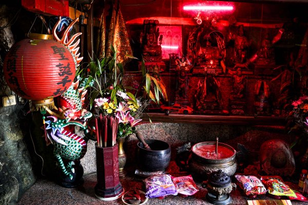 大崗山步道｜小百岳2812781