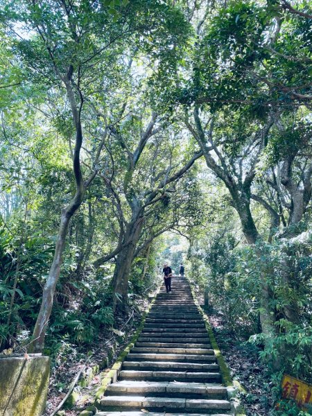 20250928 九五峰-拇指山-象山2903912