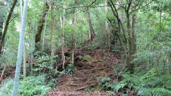 《雲林》望好望角｜石壁山嘉南雲峰步道(中側登山口）202506072805468