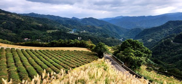 石碇皇帝殿（西峰，東峰），天王峰，坪林獅公髻尾山，文山指南宮千階步道（竹柏參道），十六分山，貓空尖1971300