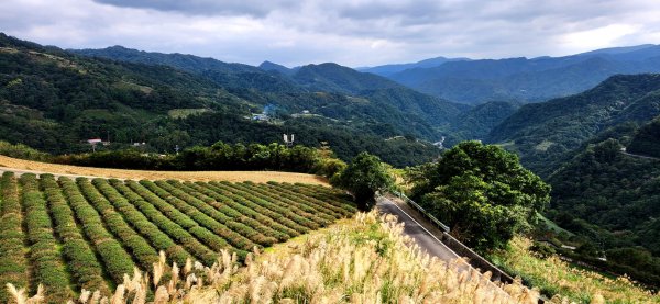 皇帝殿，獅公髻尾山，指南宮千階步道（竹柏參道），十六分山，貓空尖，絹絲瀑布步道1971300