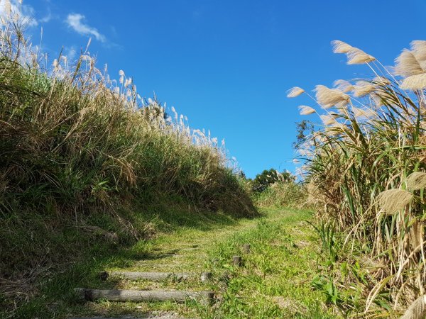 2020.01.06 坪林-獅公髻尾山799941