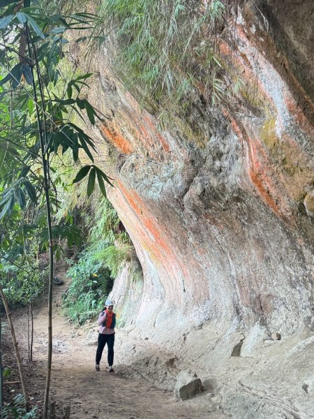 20250913_三峽鳶山爬山趣2882805