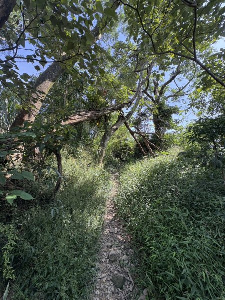 20251011台南刣牛湖山登山步道2915055