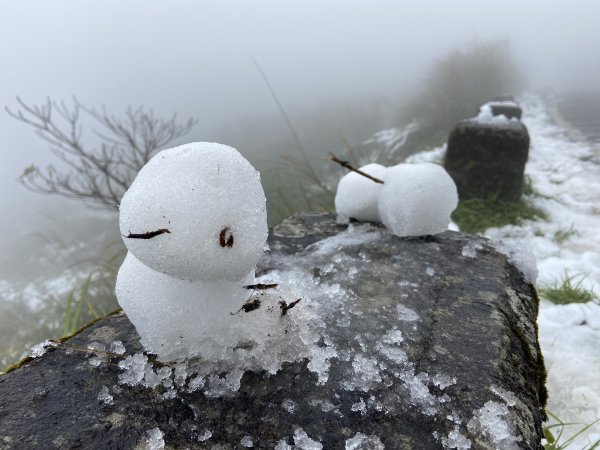 大屯山追雪趣| Mt. Datun|2024年1月24日|峯花雪月2409552