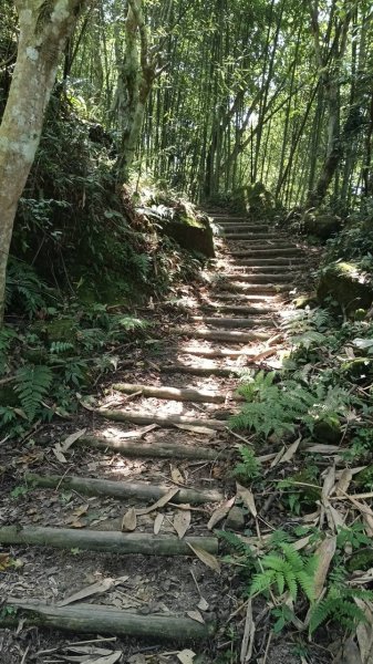 20251004 馬那邦山 - 珠湖 登山口2904909