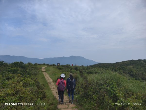 陽明山東西大縱走2610115