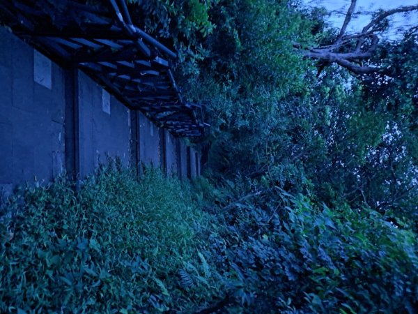 2026微笑山線和美山螢火蟲段3103525