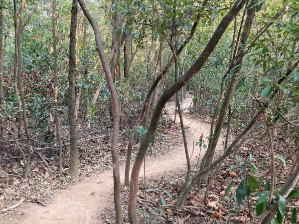 火炎山登山步道2386033