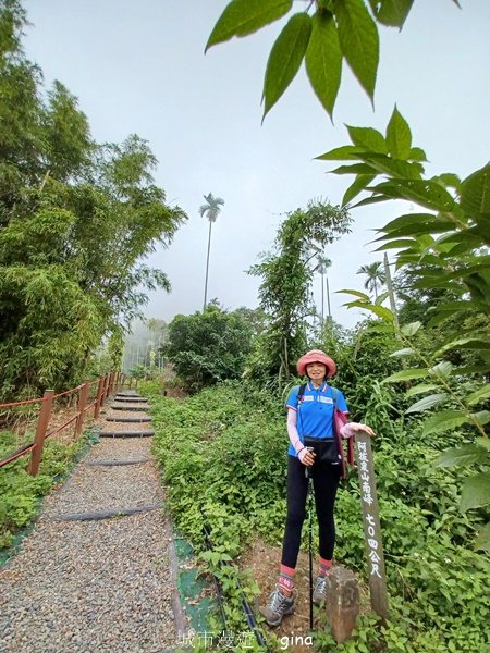 【嘉義竹崎】說好的稜線風景呢。阿拔泉山稜線步道連走獨立山O繞2684125