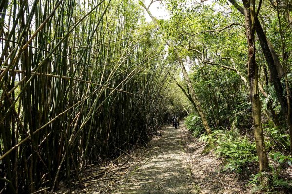 大崙頭尾山｜小百岳2756501