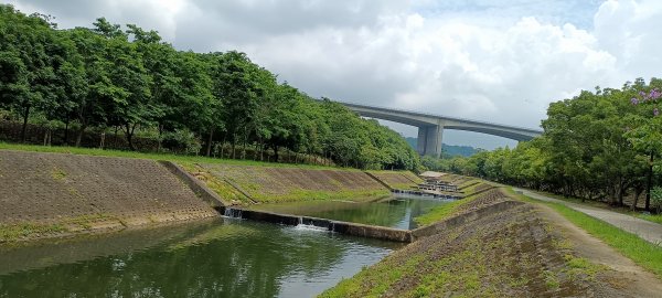 20230610_牛欄河河濱步道2178372