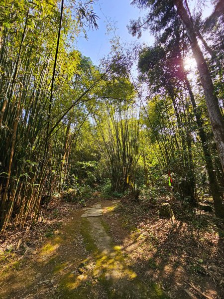 小百岳集起來-鵲子山2185464