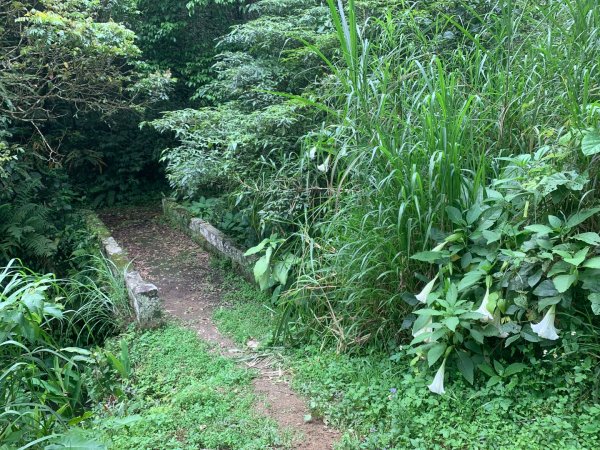 大崎棟古道、騎龍古道2772301