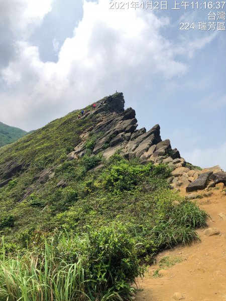 【北台灣郊山之王「瑞芳劍龍稜」 攀爬峭壁岩稜翻山越嶺驚險行】1337565