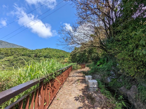 竹子湖步道群悠遊行1853510