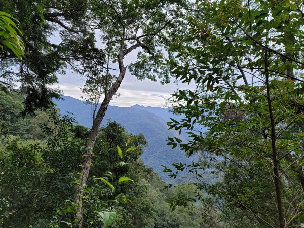 福巴越嶺國家步道2364480