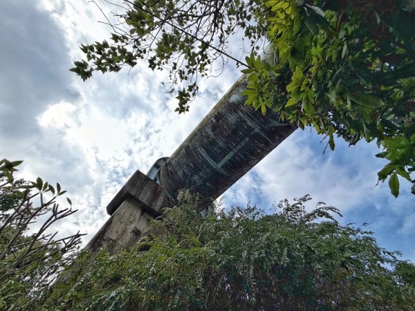 龍過脈森林步道2960925