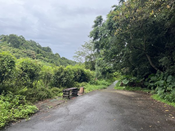 [微笑山線_第三段] 2025_0720 鳶山山系_鳶尾山2843637