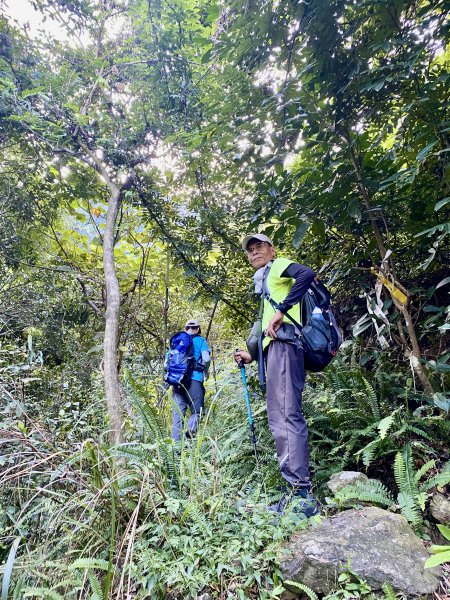 南、東、北松鶴山、裡冷山（南峰）輕鬆撿   2023.9.202288826