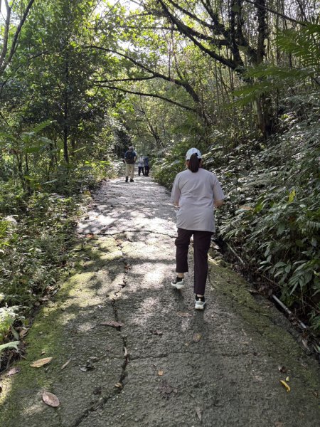 20250830台南關仔嶺大凍山步道2914672
