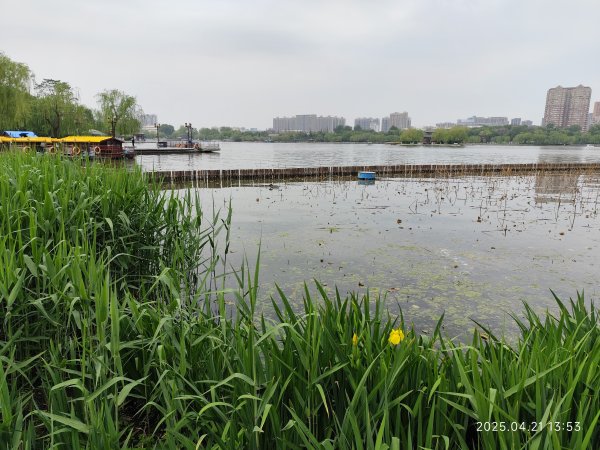 中國山東濟南大明湖、濟南古城、千佛山2775556