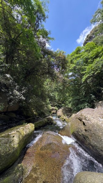 戲水（鴛鴦2786719