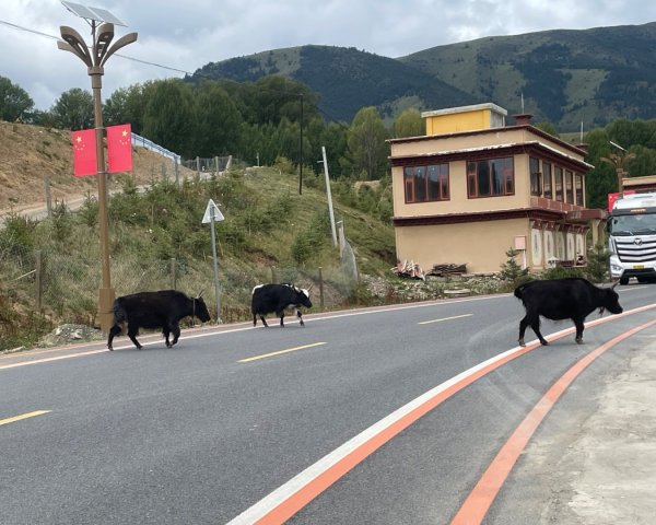 川藏深度之旅33天/A行程2901387