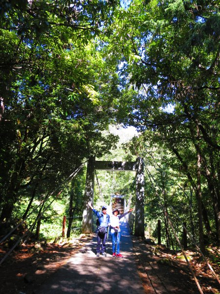 如童話般的森林步道-武陵桃山瀑布步道1190723