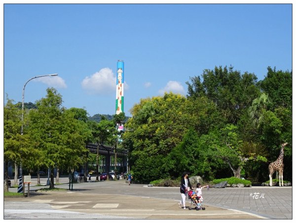台北市動物園之旅1498030