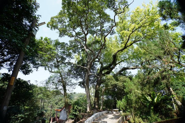 新竹 峨嵋 猿山、六寮山、玖玖山、獅頭山、獅尾山3012140