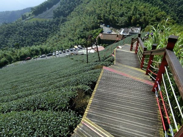 雲嘉五連鋒不在是傳說414335