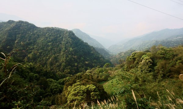 志繼山、東眼山O型1335783