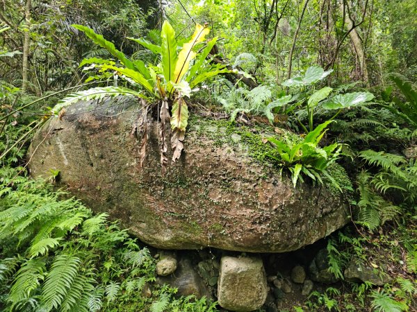 得卡倫步道2833847