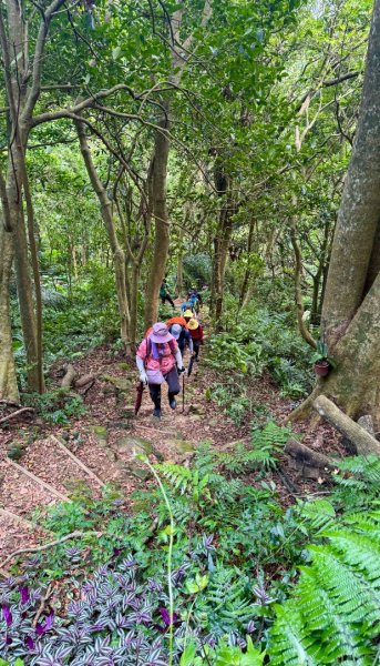 大艽芎古道縱走 新/溪州山(小百岳#23) 出溪州公園2893947