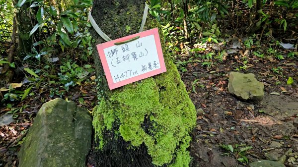 小格頭獅頭山.鱷魚島.八卦茶園3089953