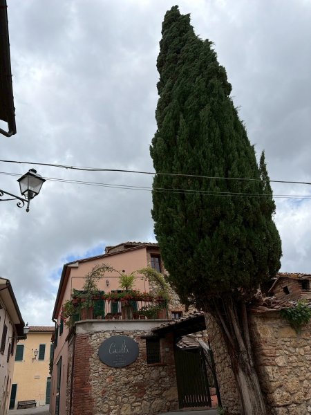 Via Francigena D2: Colle di Val d’Elsa-Monteriggio3072739