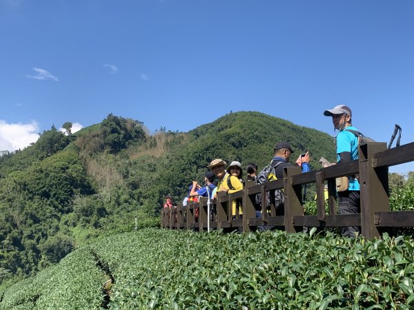 20250816嘉義鼠眉毛O繞2864071