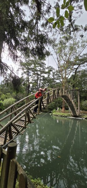 溪頭鳳凰林道_大學池_202408012577741