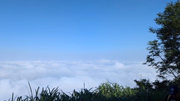 ∆步道∆ 王爺崙山 龍麟山步道2750746