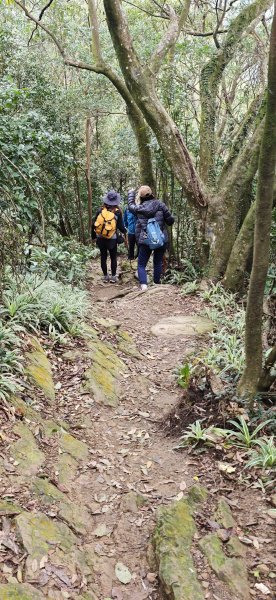 2026-0307 造鎮-文筆山-天華山-南勢角山-蘭花亭-牛伯伯3015878