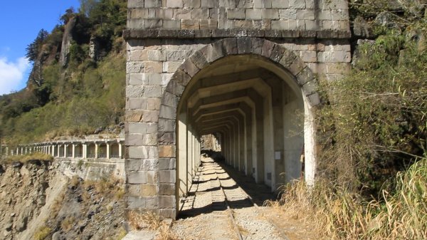 沉睡的美景-阿里山眠月線547551