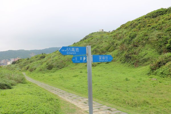 一路向海去~療癒的海景步道望幽谷濱海步道755023