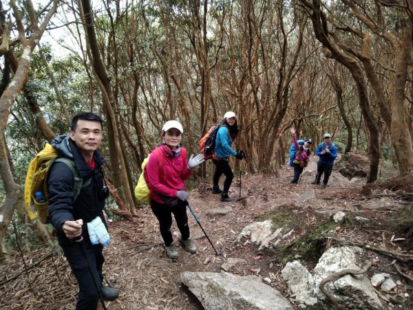 2022年02月13日(彰山協)南投日月潭四兄妹之中級山~大尖山縱走水社大山1613479