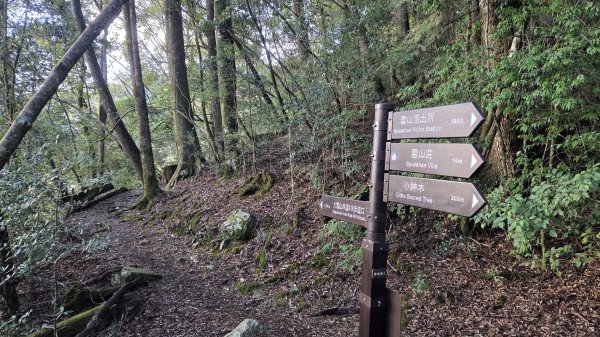 環繞在楓紅巨木和滿山翠綠的鞍馬山及大雪山小神木森林步道的悠哉山行記2996765