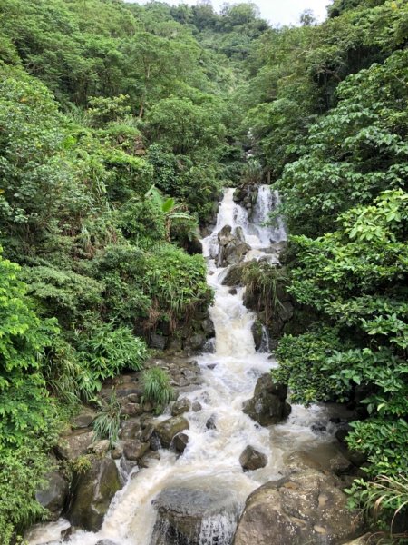 嘉義連峰獨立山大巃頂紅楠坑觀音石阿拔泉633142