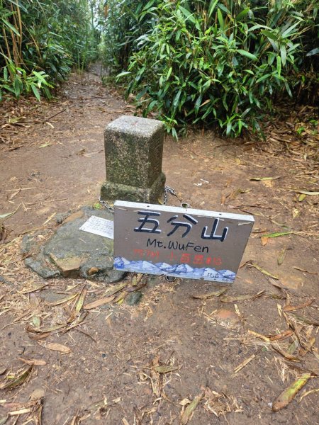 雨後，五分之美，十分愜意2755772